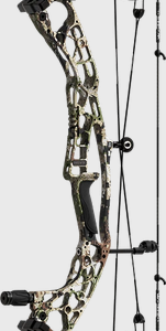 Hoyt Alpha AX2 29 RH
